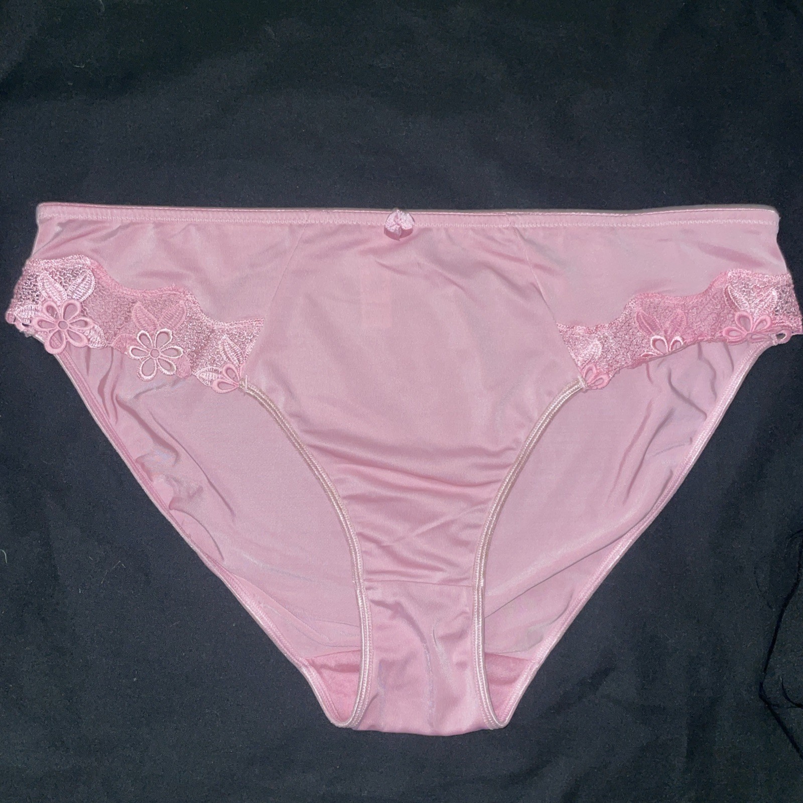 Delta Burke Underwear Panties Woman’s SZ 10/3X Briefs NOS Poly/spandex PLUS NEW