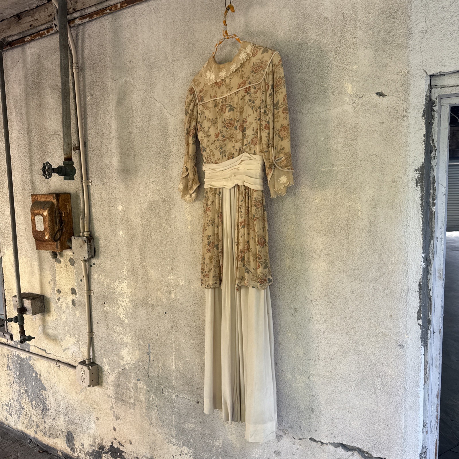 Antique Edwardian Chinoiserie Dragonfly & Floral Print Gown Silk & Organza VTG