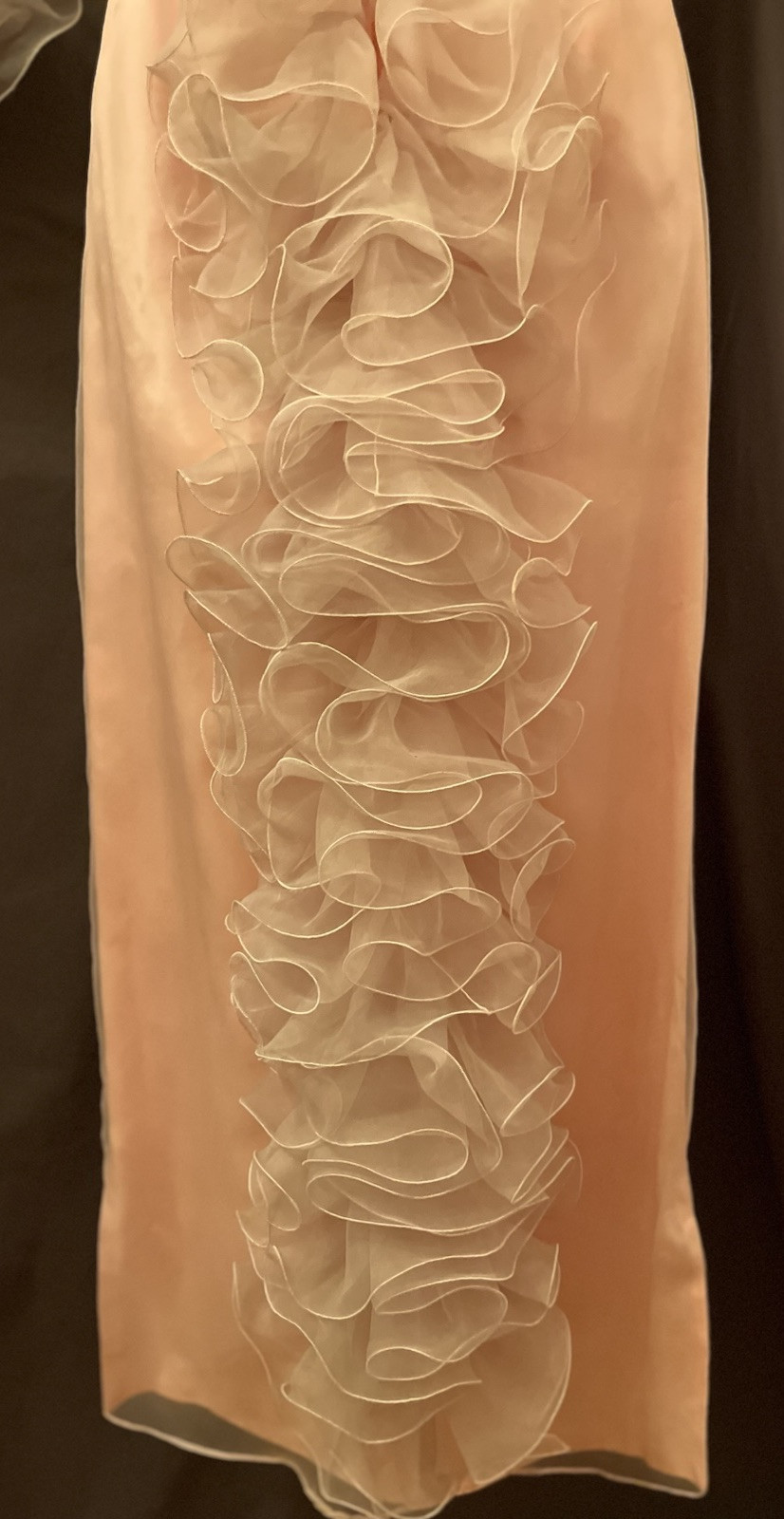 VTG Princess Baby Pink Gauzy Organza Bustle Ruffle Edwardian Formal Prom Dress S