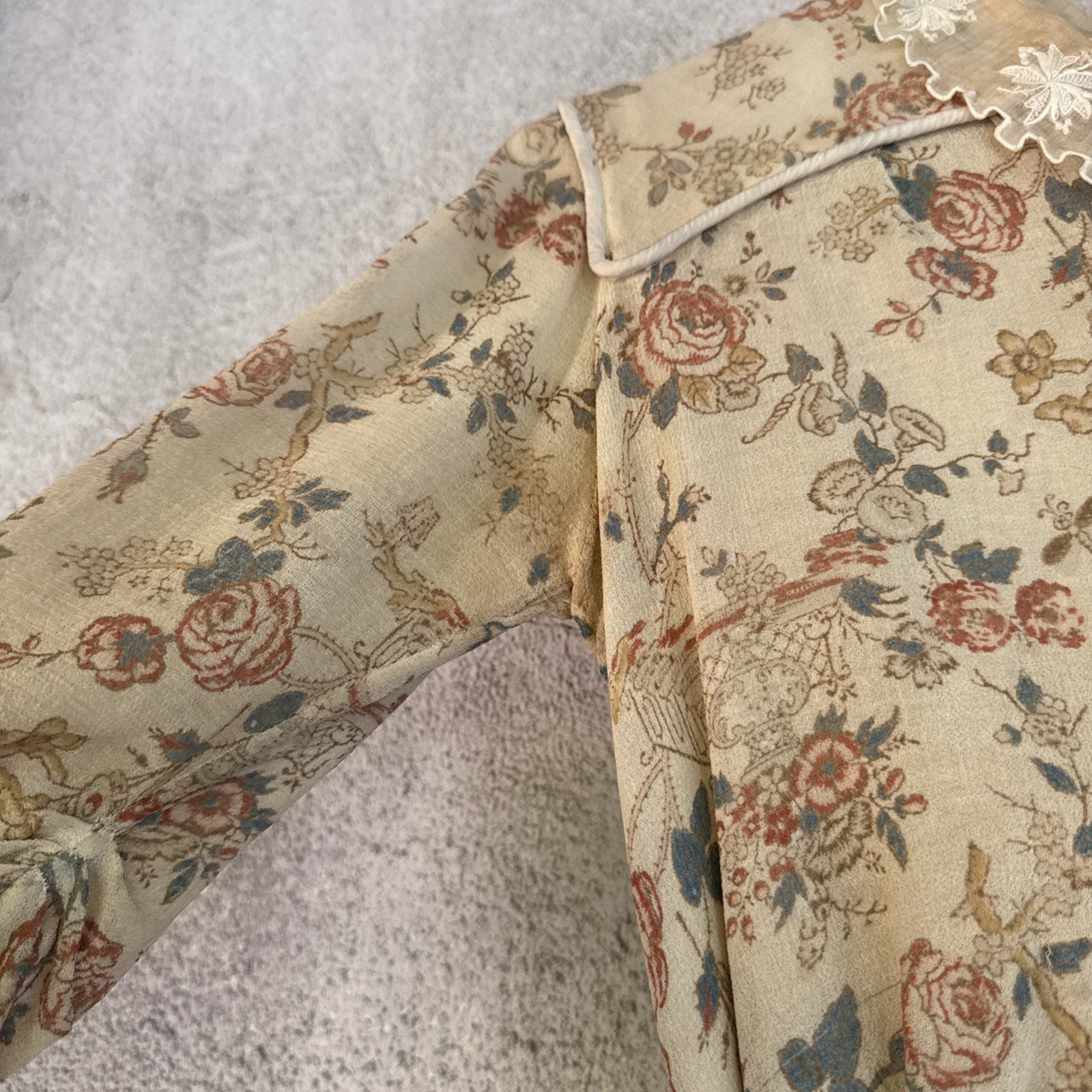 Antique Edwardian Chinoiserie Dragonfly & Floral Print Gown Silk & Organza VTG