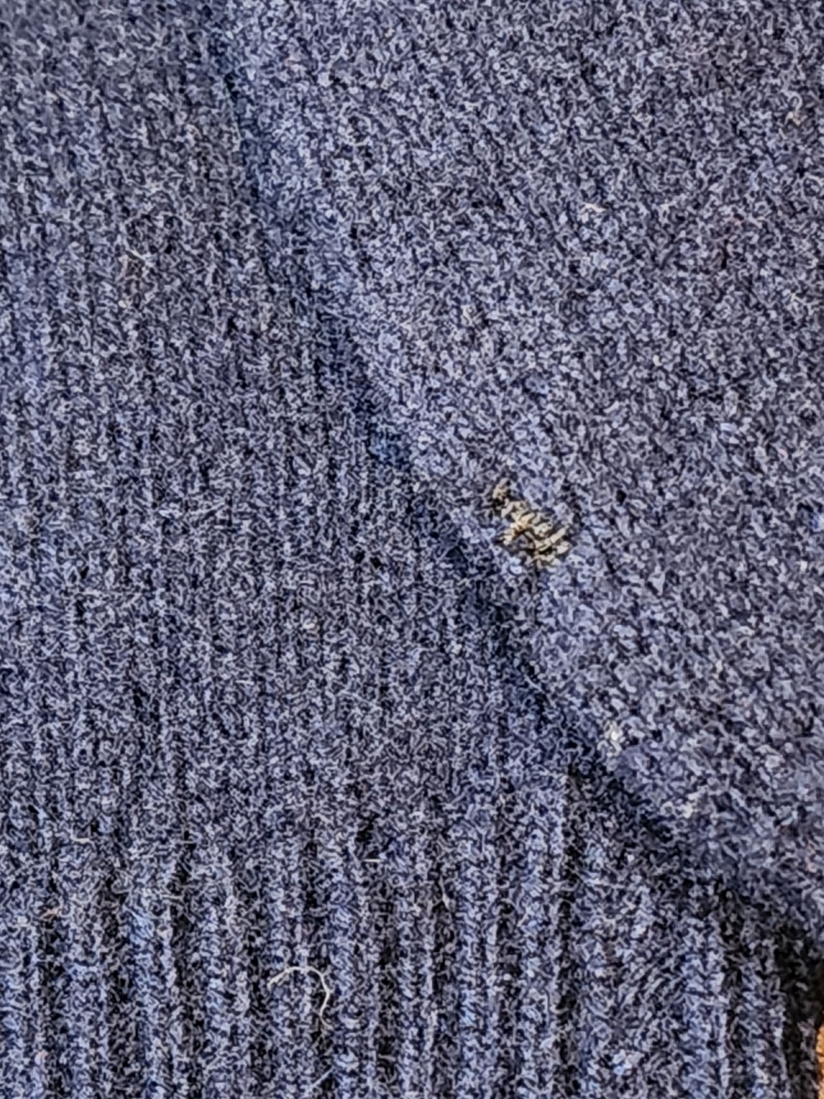 VTG Bernhard Altmann 100% Cashmere Sweater Made In Austria 21.5 x 24.5