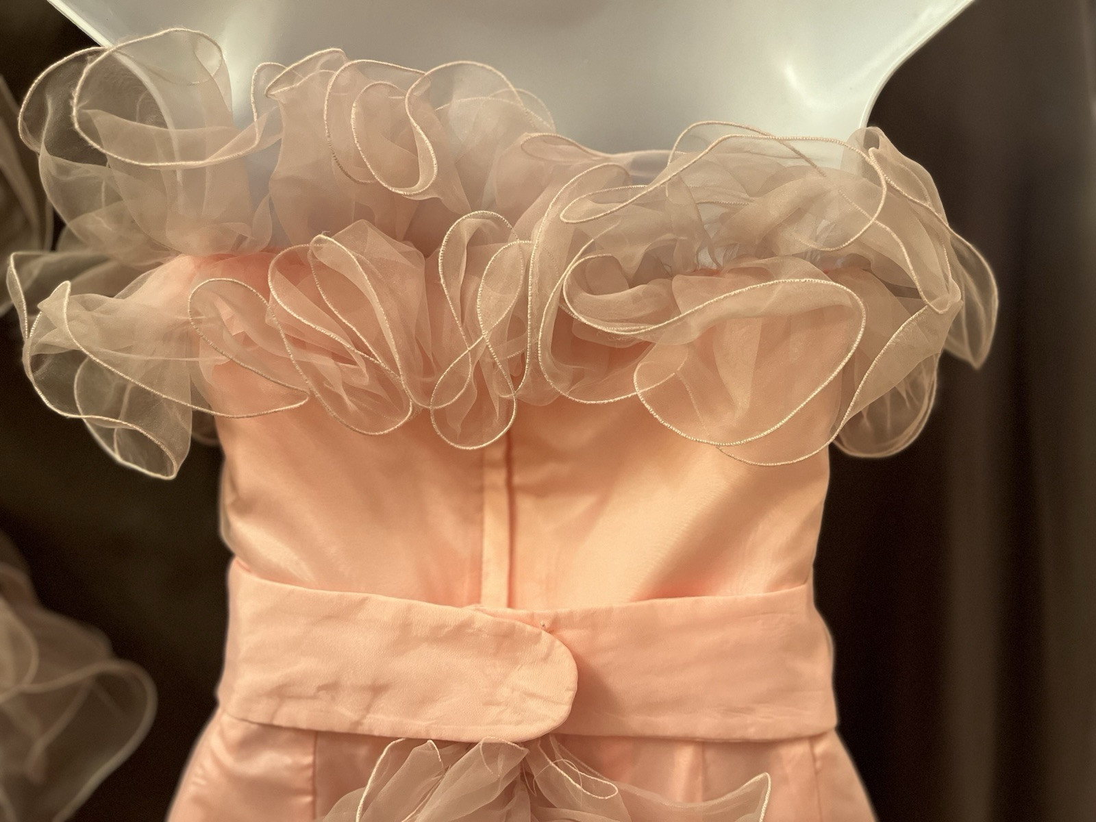VTG Princess Baby Pink Gauzy Organza Bustle Ruffle Edwardian Formal Prom Dress S
