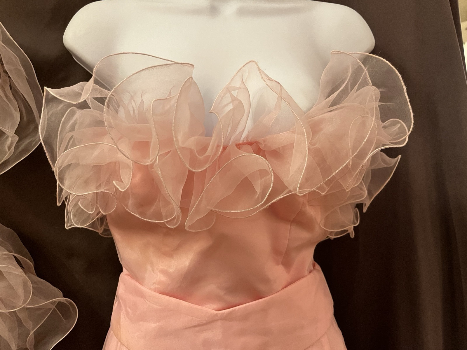 VTG Princess Baby Pink Gauzy Organza Bustle Ruffle Edwardian Formal Prom Dress S