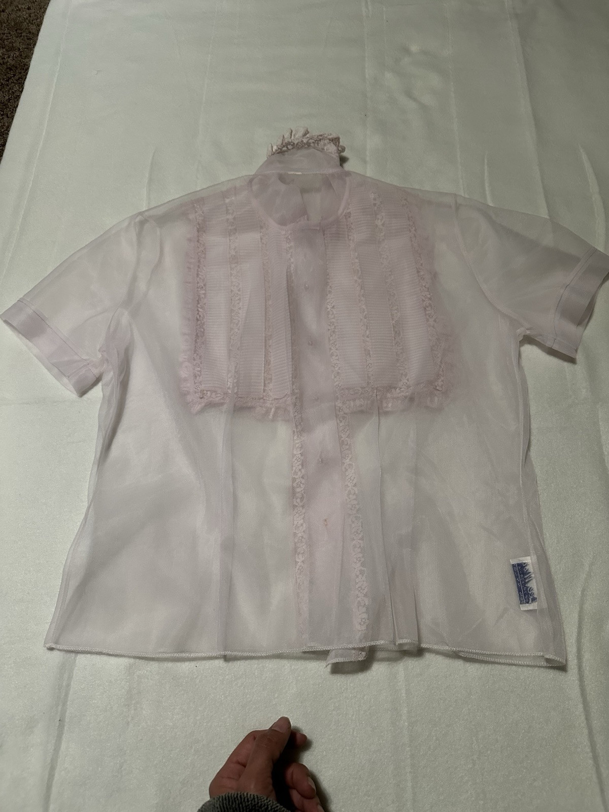 Baby Pink Vintage Blouse. Lee Mar Of California. Short Sleeve And Sheer.